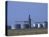 Silos and Field of Soybeans at Chino Farms, Maryland, USA-Jerry & Marcy Monkman-Stretched Canvas