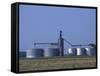 Silos and Field of Soybeans at Chino Farms, Maryland, USA-Jerry & Marcy Monkman-Framed Stretched Canvas