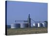 Silos and Field of Soybeans at Chino Farms, Maryland, USA-Jerry & Marcy Monkman-Stretched Canvas