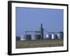 Silos and Field of Soybeans at Chino Farms, Maryland, USA-Jerry & Marcy Monkman-Framed Photographic Print