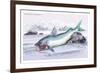 Silurus Parkeri-Robert Hermann Schomburgk-Framed Art Print