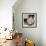 Silvana XIV-Tony Koukos-Framed Giclee Print displayed on a wall