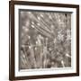 Silver Alliums-Assaf Frank-Framed Art Print