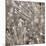 Silver Alliums-Assaf Frank-Mounted Giclee Print