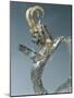 Silver Amphora Handle with Gold Detail-null-Mounted Giclee Print