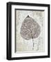 Silver and Balsam-Ariane Morey-Framed Art Print