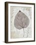 Silver and Balsam-Ariane Morey-Framed Art Print