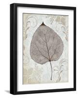 Silver and Balsam-Ariane Morey-Framed Art Print