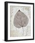 Silver and Balsam-Ariane Morey-Framed Art Print