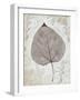 Silver and Balsam-Ariane Morey-Framed Art Print