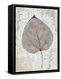 Silver and Balsam-Ariane Morey-Framed Stretched Canvas