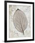 Silver and Persimmon-Ariane Morey-Framed Art Print