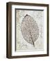 Silver and Persimmon-Ariane Morey-Framed Art Print