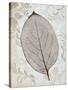 Silver and Persimmon-Ariane Morey-Stretched Canvas
