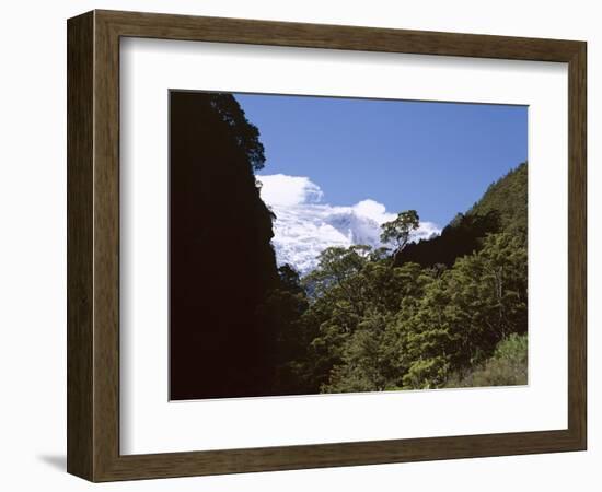 Silver Beech Forest and Rob Roy Glacier, Rob Roy Valley, Mount Aspiring National Park, South Island-Jeremy Bright-Framed Photographic Print