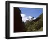 Silver Beech Forest and Rob Roy Glacier, Rob Roy Valley, Mount Aspiring National Park, South Island-Jeremy Bright-Framed Photographic Print