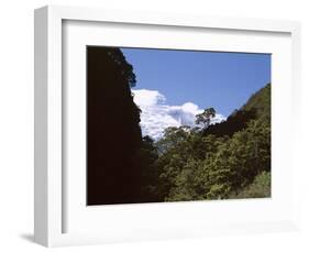 Silver Beech Forest and Rob Roy Glacier, Rob Roy Valley, Mount Aspiring National Park, South Island-Jeremy Bright-Framed Photographic Print