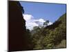 Silver Beech Forest and Rob Roy Glacier, Rob Roy Valley, Mount Aspiring National Park, South Island-Jeremy Bright-Mounted Photographic Print