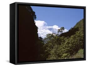 Silver Beech Forest and Rob Roy Glacier, Rob Roy Valley, Mount Aspiring National Park, South Island-Jeremy Bright-Framed Stretched Canvas
