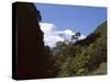 Silver Beech Forest and Rob Roy Glacier, Rob Roy Valley, Mount Aspiring National Park, South Island-Jeremy Bright-Stretched Canvas