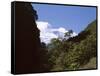 Silver Beech Forest and Rob Roy Glacier, Rob Roy Valley, Mount Aspiring National Park, South Island-Jeremy Bright-Framed Stretched Canvas