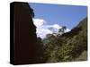 Silver Beech Forest and Rob Roy Glacier, Rob Roy Valley, Mount Aspiring National Park, South Island-Jeremy Bright-Stretched Canvas