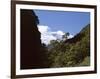 Silver Beech Forest and Rob Roy Glacier, Rob Roy Valley, Mount Aspiring National Park, South Island-Jeremy Bright-Framed Photographic Print