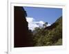 Silver Beech Forest and Rob Roy Glacier, Rob Roy Valley, Mount Aspiring National Park, South Island-Jeremy Bright-Framed Photographic Print