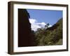 Silver Beech Forest and Rob Roy Glacier, Rob Roy Valley, Mount Aspiring National Park, South Island-Jeremy Bright-Framed Photographic Print