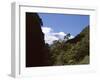 Silver Beech Forest and Rob Roy Glacier, Rob Roy Valley, Mount Aspiring National Park, South Island-Jeremy Bright-Framed Photographic Print