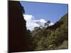 Silver Beech Forest and Rob Roy Glacier, Rob Roy Valley, Mount Aspiring National Park, South Island-Jeremy Bright-Mounted Photographic Print