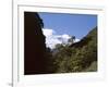 Silver Beech Forest and Rob Roy Glacier, Rob Roy Valley, Mount Aspiring National Park, South Island-Jeremy Bright-Framed Photographic Print