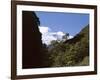 Silver Beech Forest and Rob Roy Glacier, Rob Roy Valley, Mount Aspiring National Park, South Island-Jeremy Bright-Framed Photographic Print