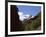 Silver Beech Forest and Rob Roy Glacier, Rob Roy Valley, Mount Aspiring National Park, South Island-Jeremy Bright-Framed Photographic Print