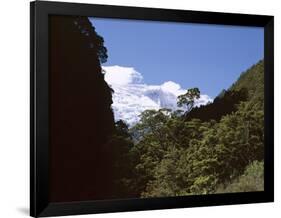 Silver Beech Forest and Rob Roy Glacier, Rob Roy Valley, Mount Aspiring National Park, South Island-Jeremy Bright-Framed Photographic Print