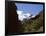 Silver Beech Forest and Rob Roy Glacier, Rob Roy Valley, Mount Aspiring National Park, South Island-Jeremy Bright-Framed Photographic Print