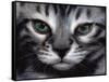 Silver Bengal Cat-Sarah Stribbling-Framed Stretched Canvas