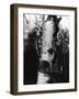 Silver Birch Bark-null-Framed Photographic Print