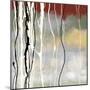 Silver Birch II-Laurie Maitland-Mounted Art Print