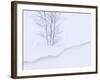 Silver Birch, in Winter Snow Cornice, Estonia-Niall Benvie-Framed Photographic Print