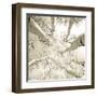 Silver Birch-Adam Brock-Framed Giclee Print