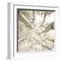 Silver Birch-Adam Brock-Framed Giclee Print
