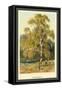 Silver Birch-W.h.j. Boot-Framed Stretched Canvas