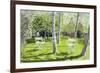 Silver Birches, 1988-Lucy Willis-Framed Giclee Print