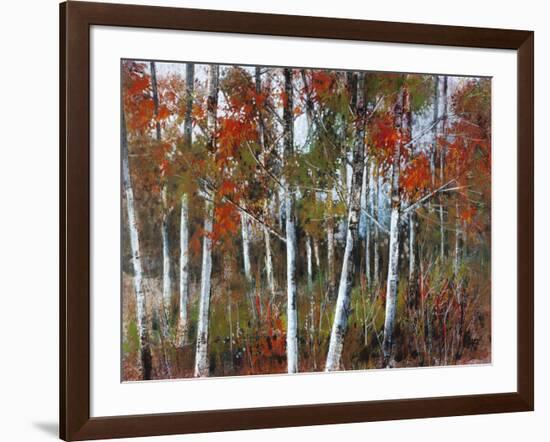 Silver Birches III-Richard Akerman-Framed Giclee Print