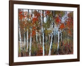 Silver Birches III-Richard Akerman-Framed Giclee Print