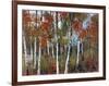 Silver Birches III-Richard Akerman-Framed Giclee Print