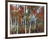 Silver Birches III-Richard Akerman-Framed Giclee Print