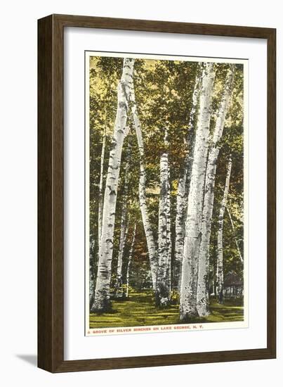 Silver Birches, Lake George, New York-null-Framed Art Print