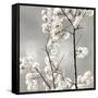 Silver Blossoms II-Kate Bennett-Framed Stretched Canvas
